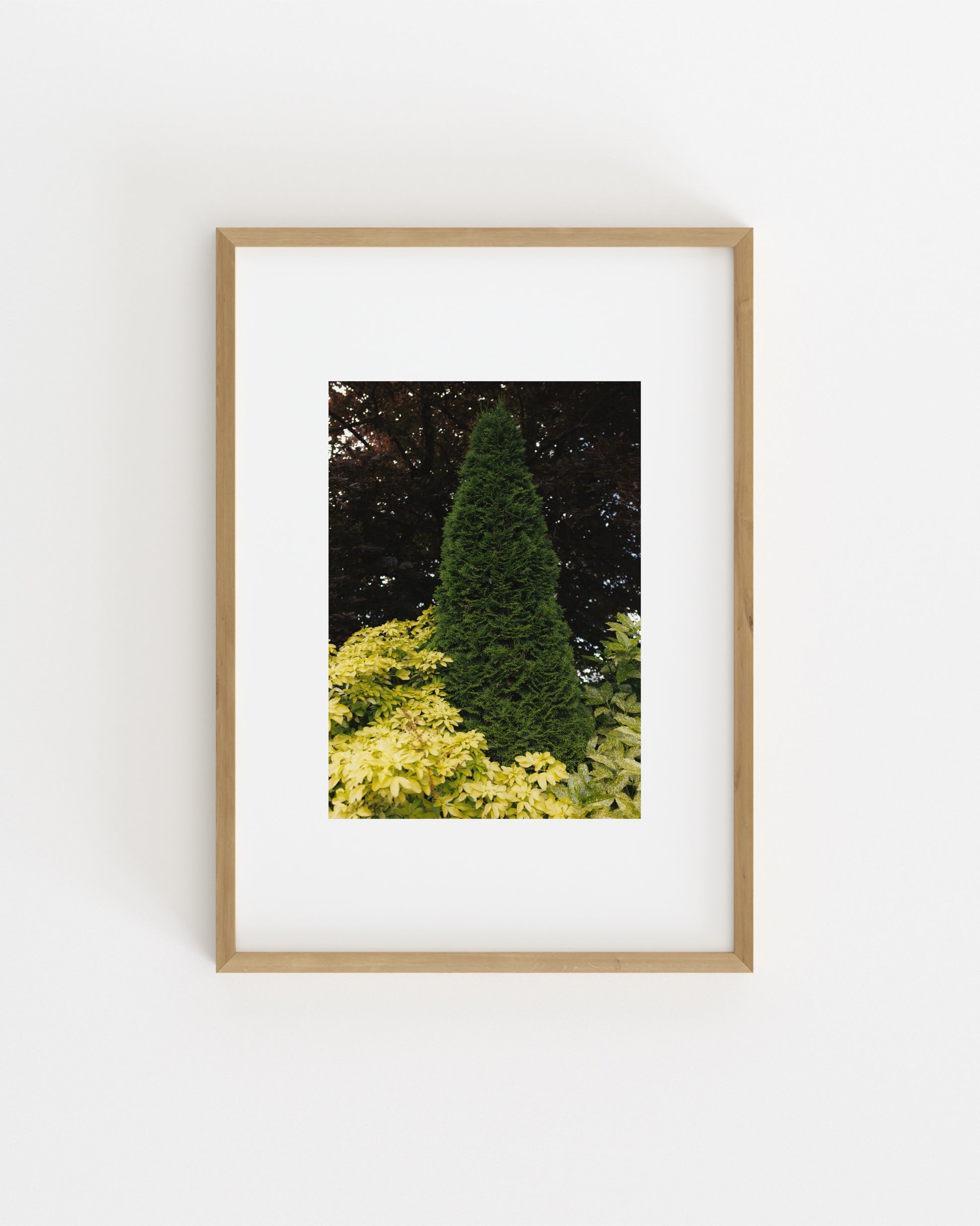 Botanical Photography. Set printable wall art by Paperhus