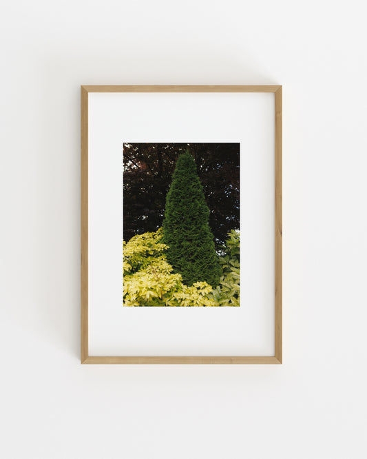 Botanical Photography. Set printable wall art by Paperhus