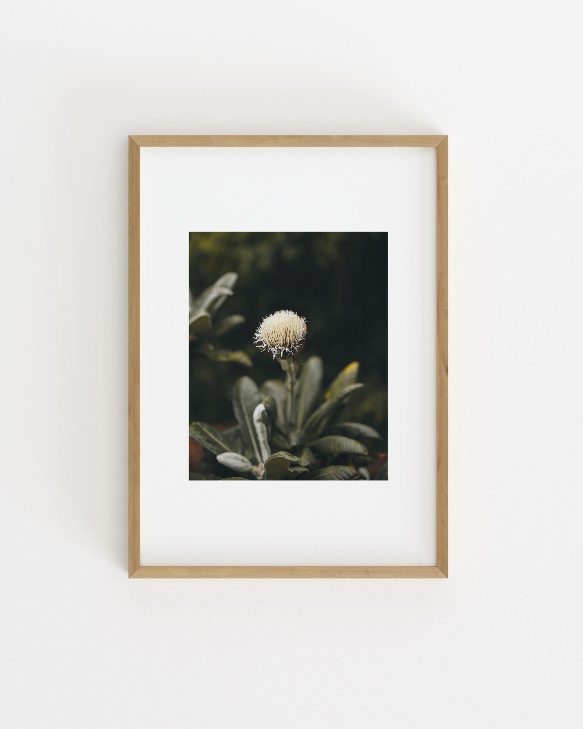 Botanical Photography. Set printable wall art by Paperhus