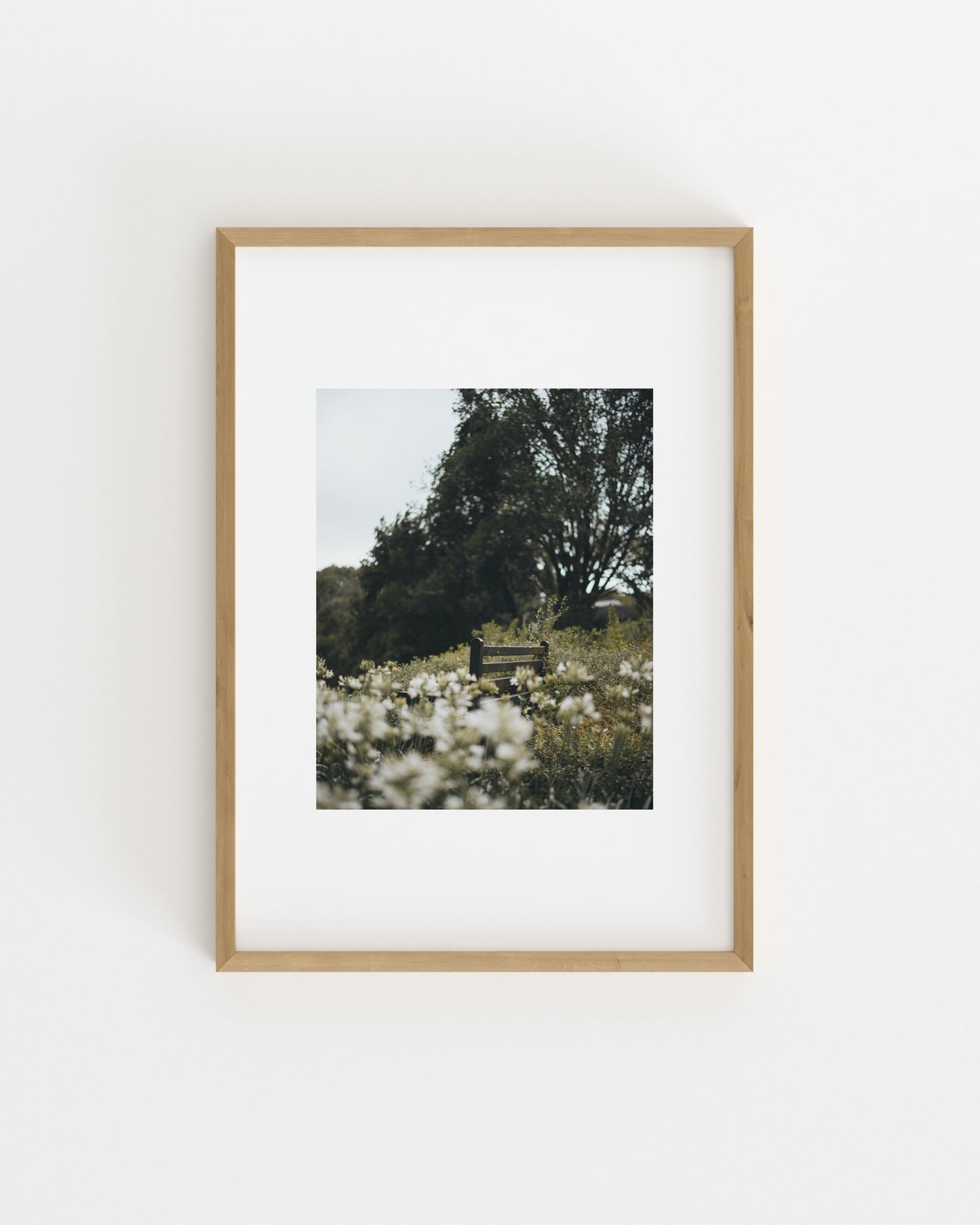 Botanical Photography. Set printable wall art by Paperhus