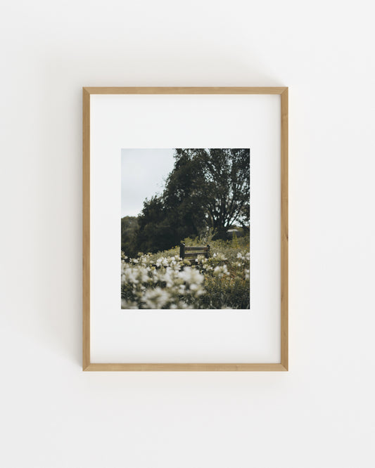 Botanical Photography. Set printable wall art by Paperhus