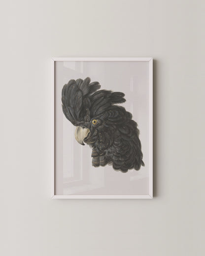 Gallery Wall Set of 8 | Minimal Monochrome Wall Art for Modern Homes