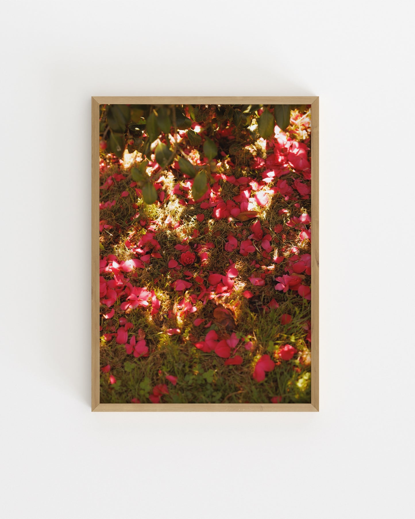 Photography. Set printable wall art by Paperhus