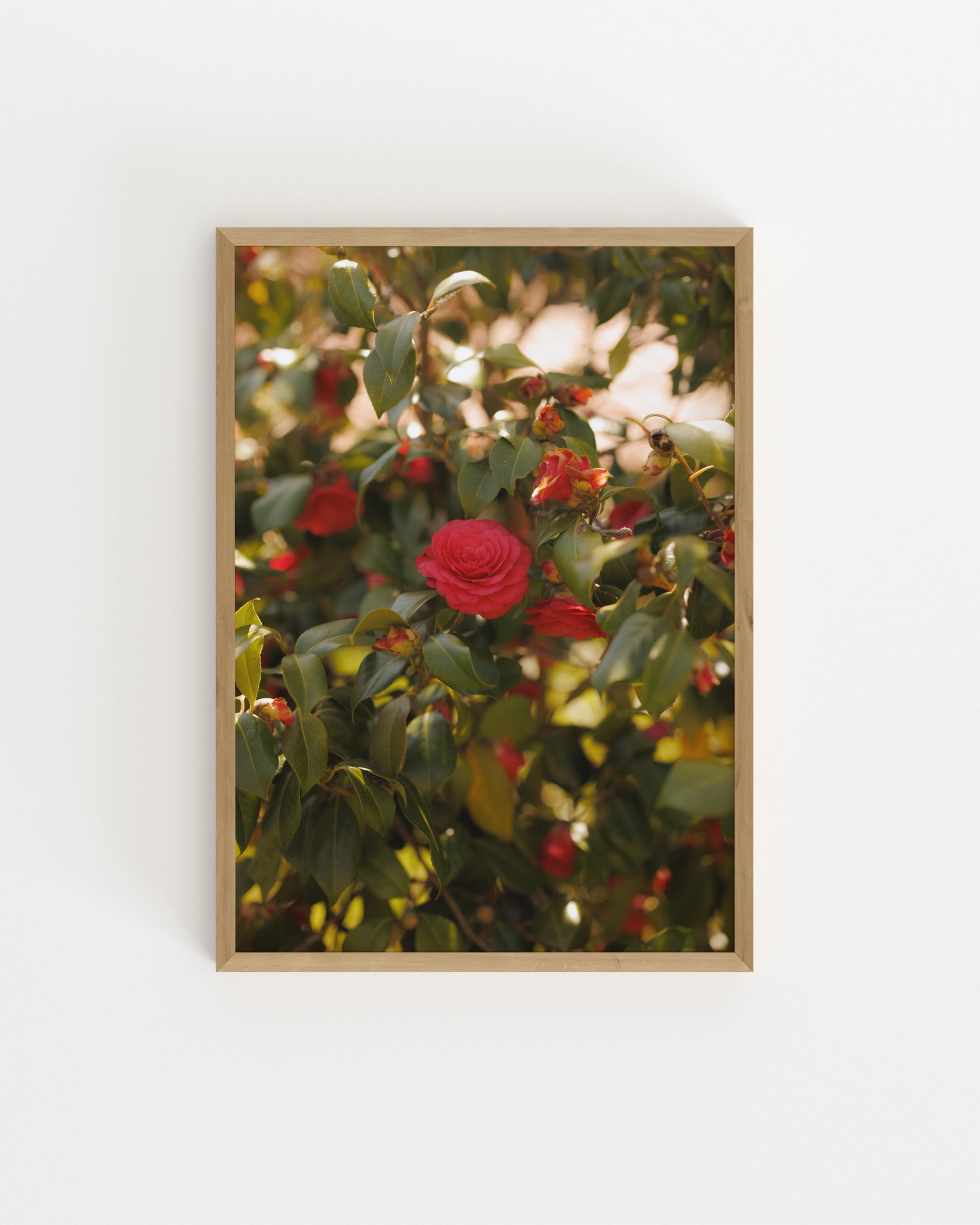 Photography. Set printable wall art by Paperhus