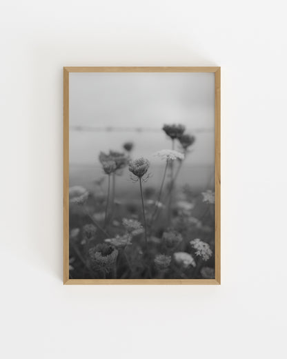 Wildflower Printable Wall Art | Digital Download printable wall art by Paperhus