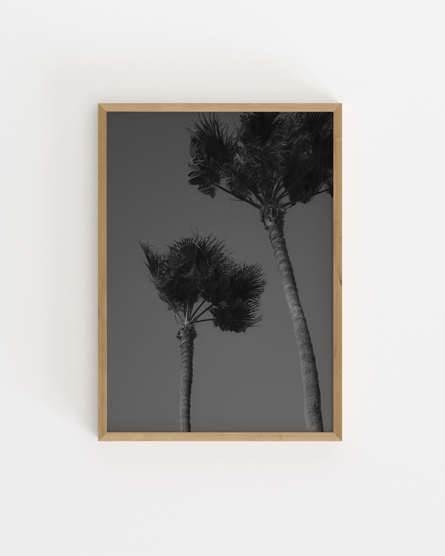 Palm Tree Photography Printable Wall Art | Digital Download printable wall art by Paperhus
