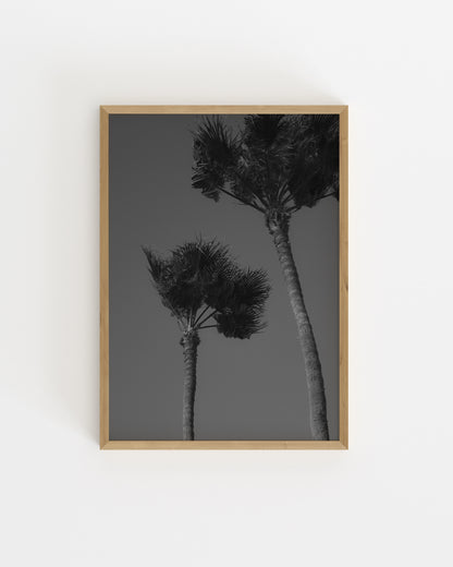 Palm Tree Photography Printable Wall Art | Digital Download printable wall art by Paperhus