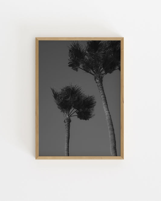 Palm Tree Photography Printable Wall Art | Digital Download printable wall art by Paperhus