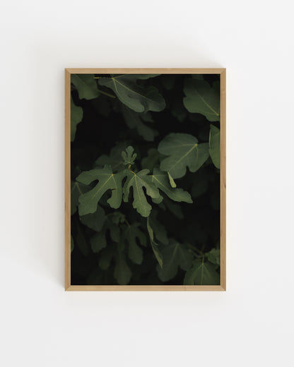 Fig Leaves Printable Wall Art | Digital Download printable wall art by Paperhus