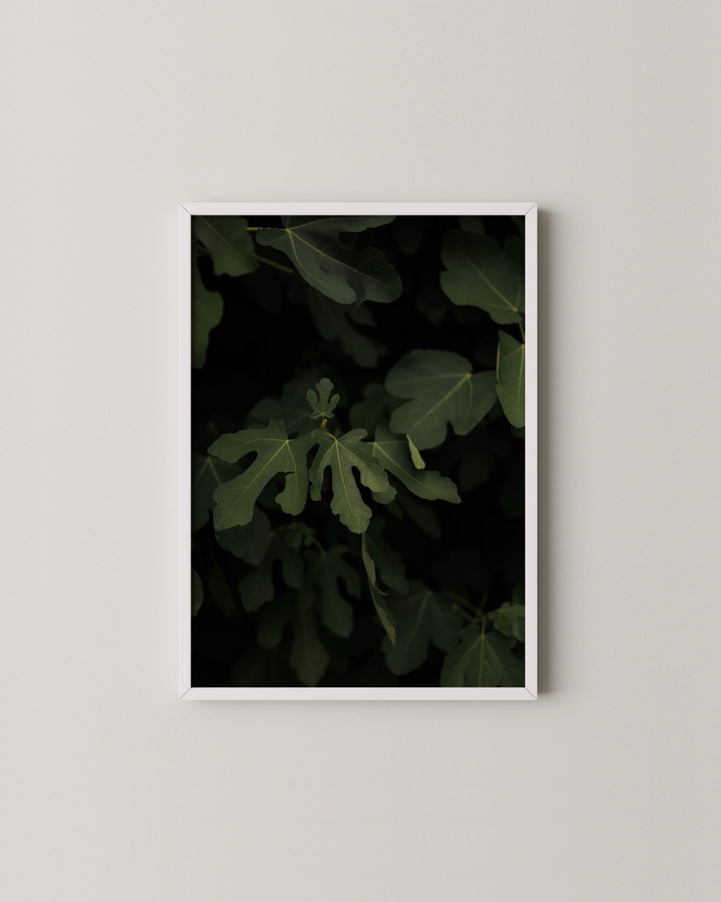 Fig Leaves Print- Wall Art -Paperhus- Printable wall art - Instant downloads - DIY home decor -Paperhus