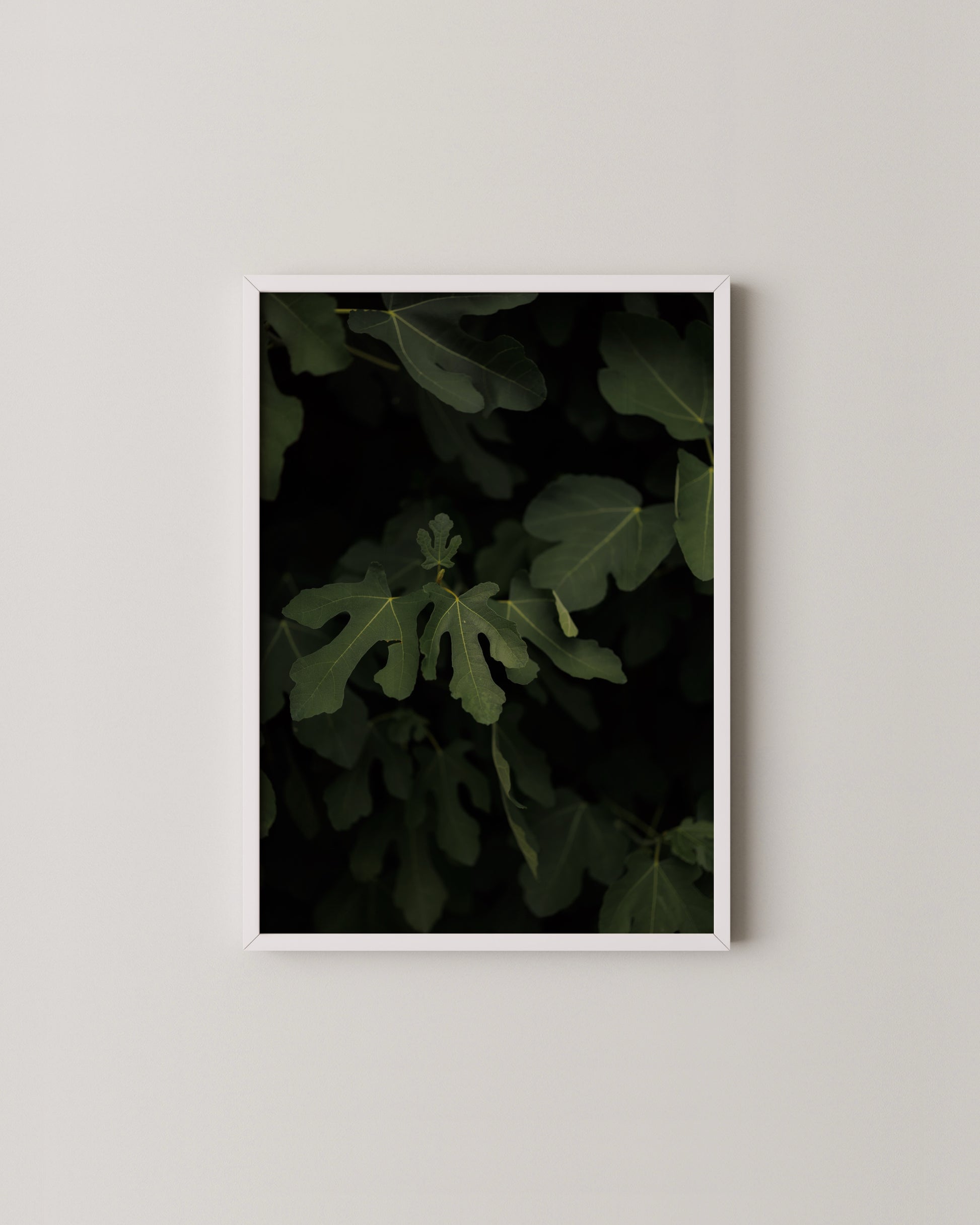 Fig Leaves Print- Wall Art -Paperhus- Printable wall art - Instant downloads - DIY home decor -Paperhus