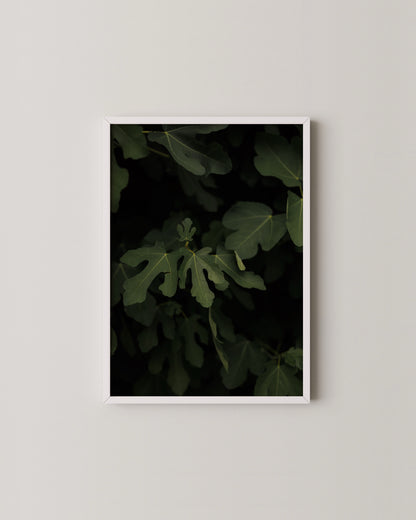 Fig Leaves Print- Wall Art -Paperhus- Printable wall art - Instant downloads - DIY home decor -Paperhus