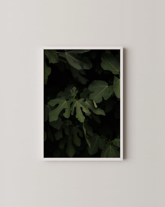 Fig Leaves Print- Wall Art -Paperhus- Printable wall art - Instant downloads - DIY home decor -Paperhus