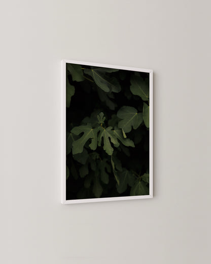 Fig Leaves Print- Wall Art -Paperhus- Printable wall art - Instant downloads - DIY home decor -Paperhus