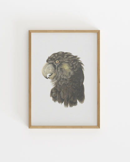Vintage Printable Wall Art | Digital Download printable wall art by Paperhus