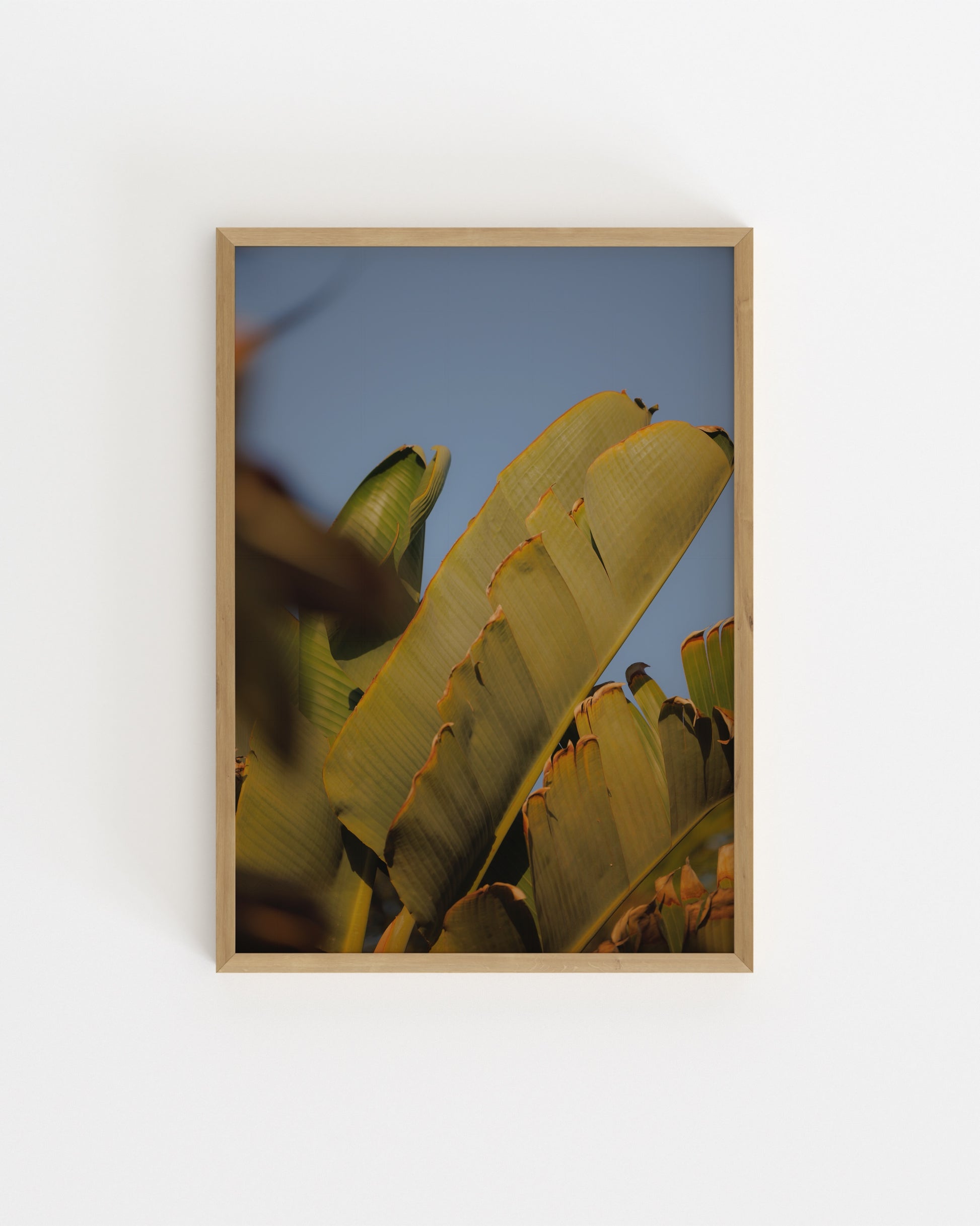 Tropical Photography Printable Wall Art | Digital Download printable wall art by Paperhus