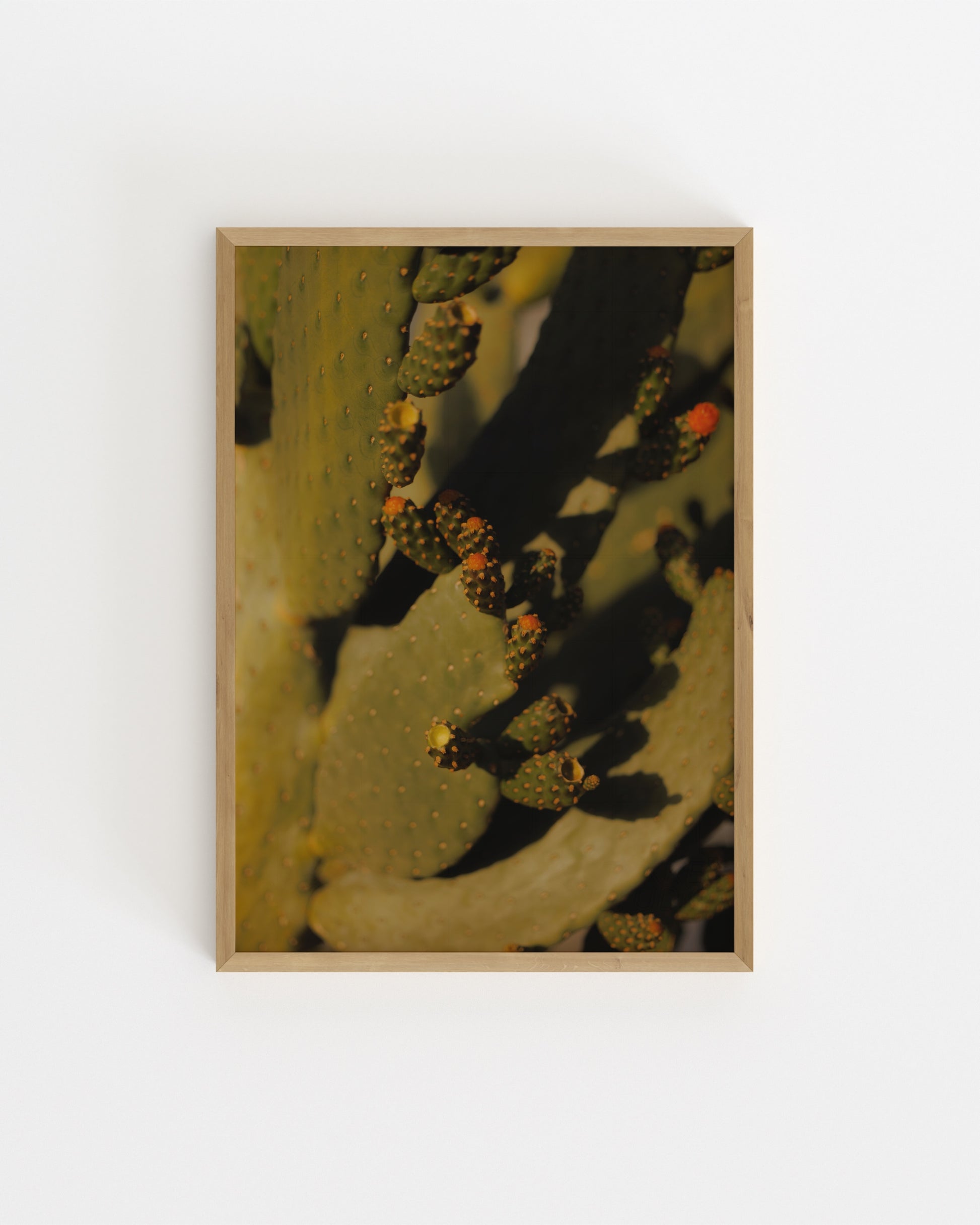 Cactus Photography Printable Wall Art | Digital Download printable wall art by Paperhus