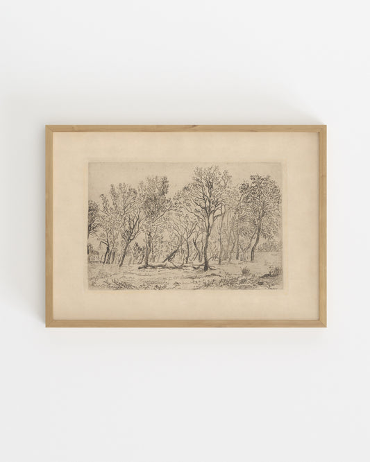 Vintage Printable Wall Art | Digital Download printable wall art by Paperhus