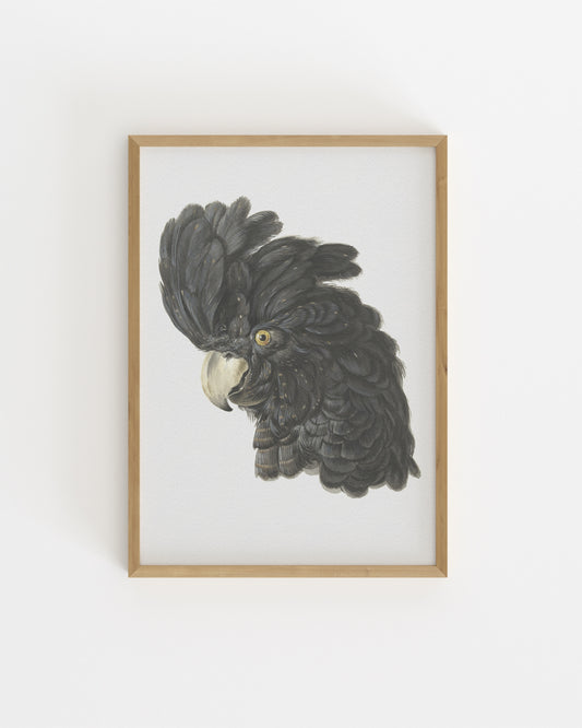 Vintage Printable Wall Art | Digital Download printable wall art by Paperhus
