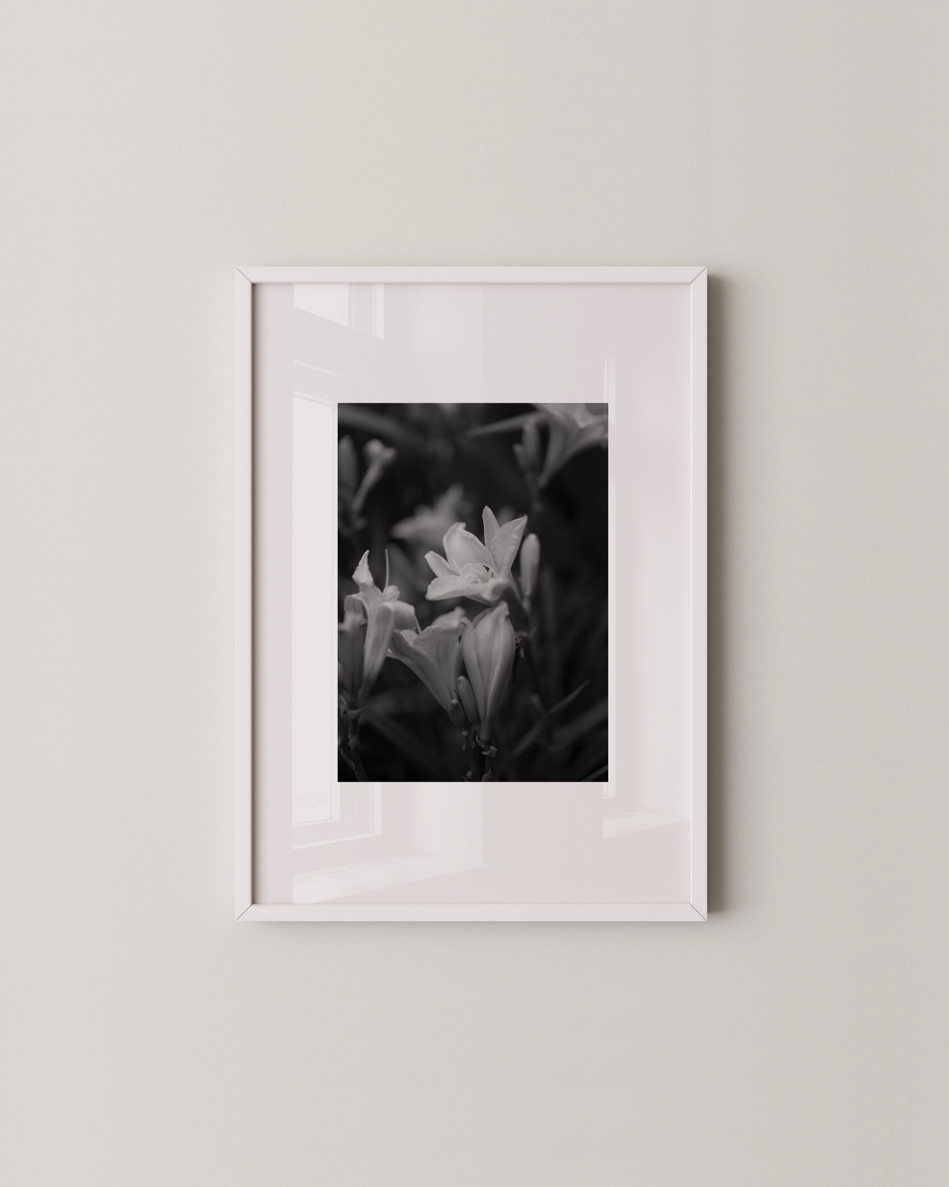 Shadow Bloom Print- Wall Art -Paperhus- Printable wall art - Instant downloads - DIY home decor -Paperhus