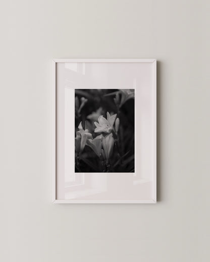 Shadow Bloom Print- Wall Art -Paperhus- Printable wall art - Instant downloads - DIY home decor -Paperhus