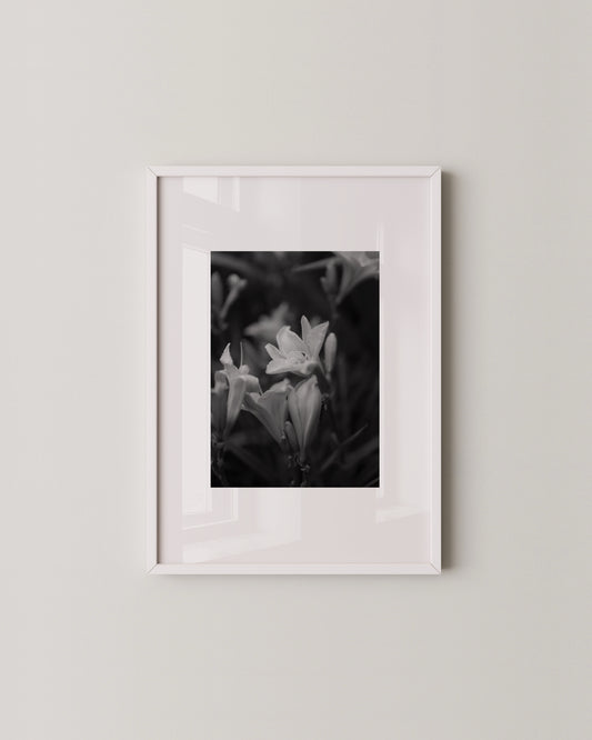 Shadow Bloom Print- Wall Art -Paperhus- Printable wall art - Instant downloads - DIY home decor -Paperhus
