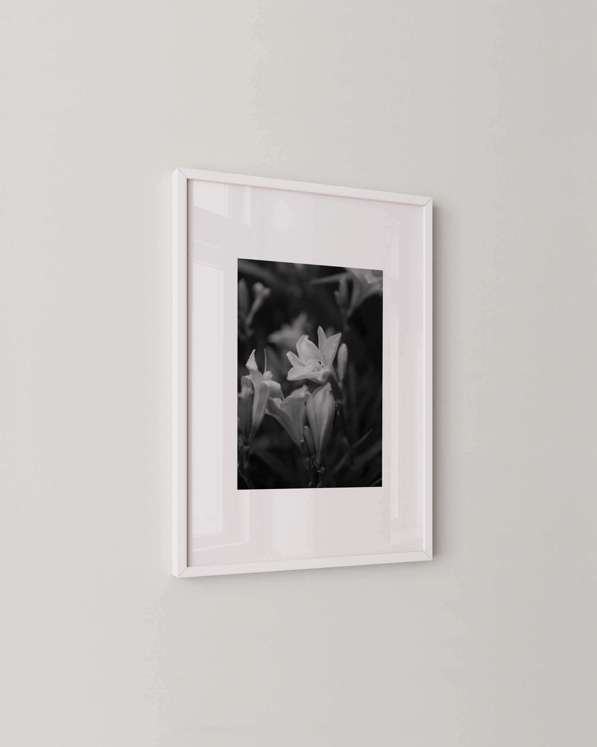 Shadow Bloom Print- Wall Art -Paperhus- Printable wall art - Instant downloads - DIY home decor -Paperhus