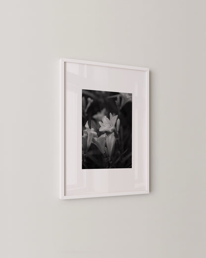 Shadow Bloom Print- Wall Art -Paperhus- Printable wall art - Instant downloads - DIY home decor -Paperhus