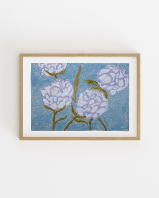 Oil Pastel. Peonies