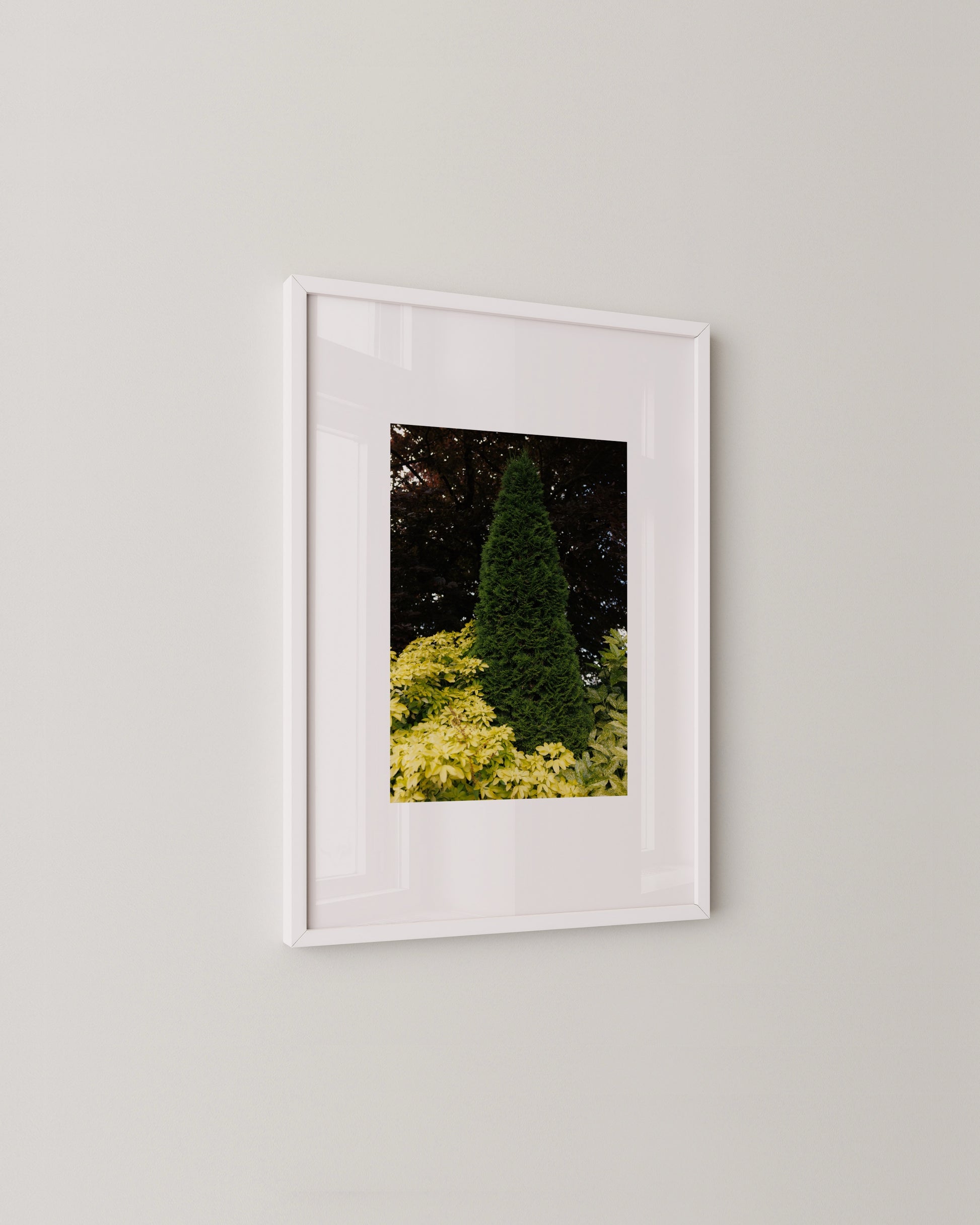 Cone Tree Print- Wall Art -Paperhus- Printable wall art - Instant downloads - DIY home decor -Paperhus