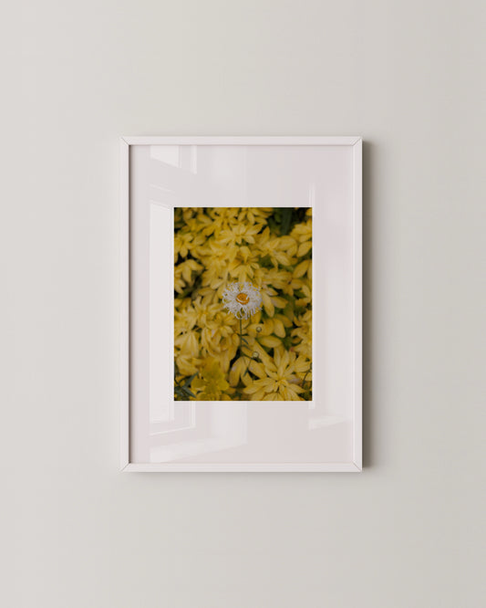 Single Flor Print- Wall Art -Paperhus- Printable wall art - Instant downloads - DIY home decor -Paperhus