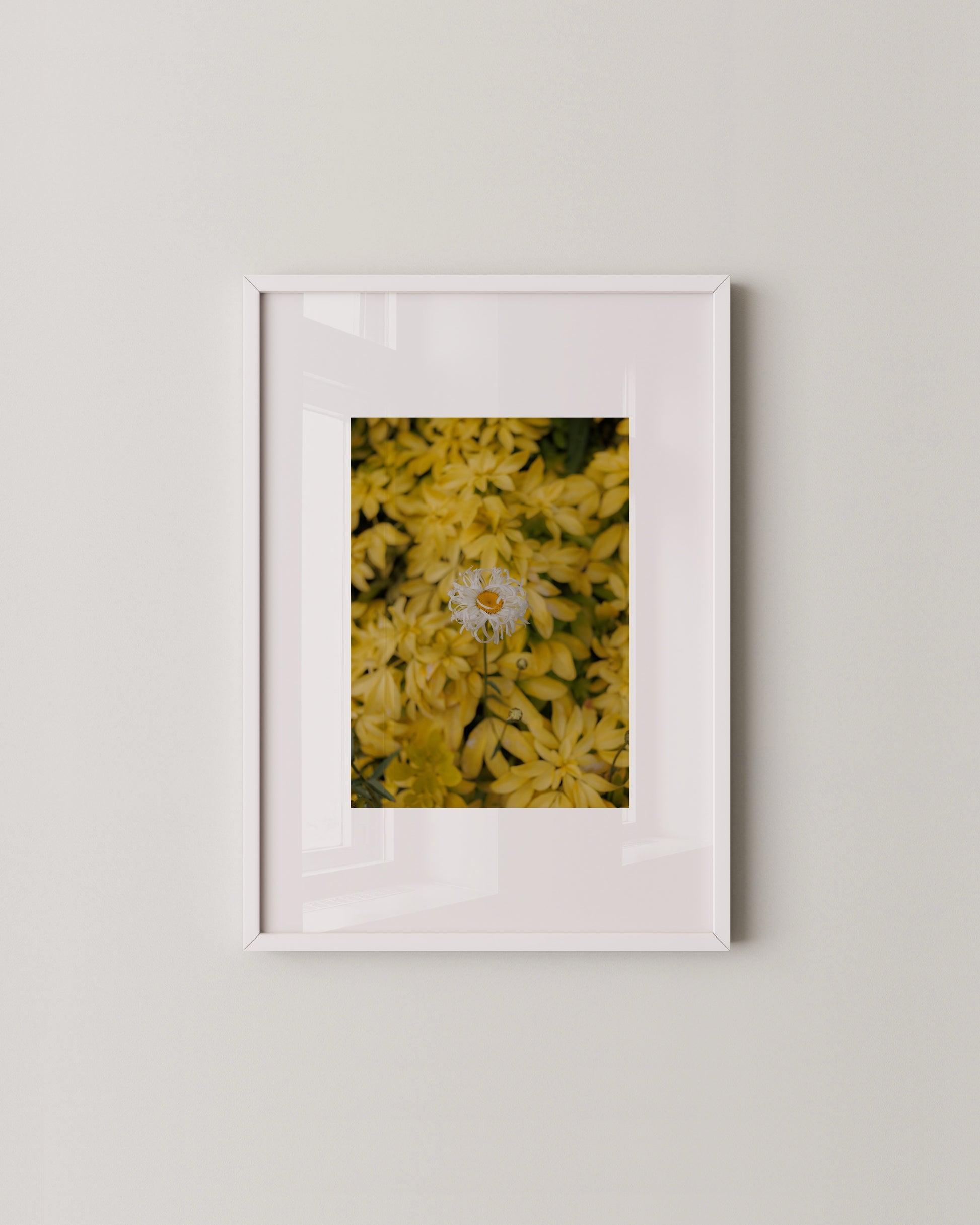 Golden Garden Set- Wall Art -Paperhus- Printable wall art - Instant downloads - DIY home decor -Paperhus
