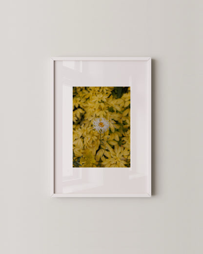 Golden Garden Set- Wall Art -Paperhus- Printable wall art - Instant downloads - DIY home decor -Paperhus