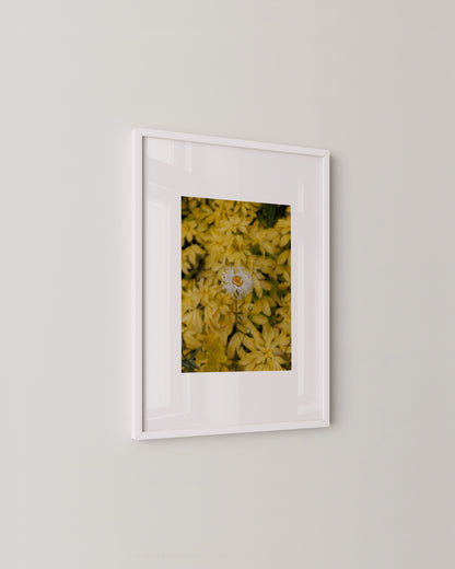 Single Flor Print- Wall Art -Paperhus- Printable wall art - Instant downloads - DIY home decor -Paperhus