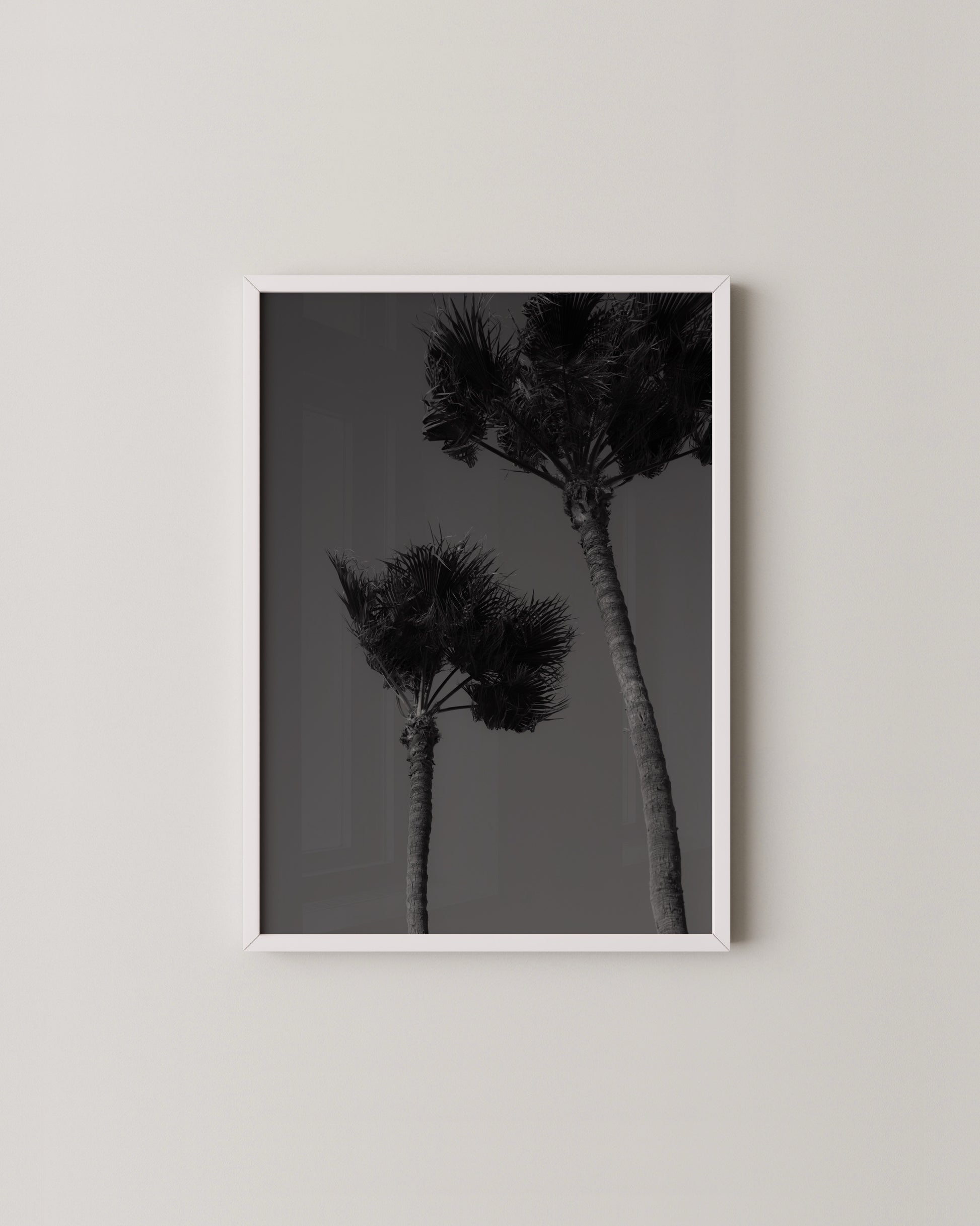 Palm Silhouettes Print- Wall Art -Paperhus- Printable wall art - Instant downloads - DIY home decor -Paperhus