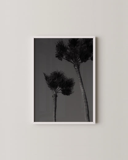 Palm Silhouettes Print- Wall Art -Paperhus- Printable wall art - Instant downloads - DIY home decor -Paperhus