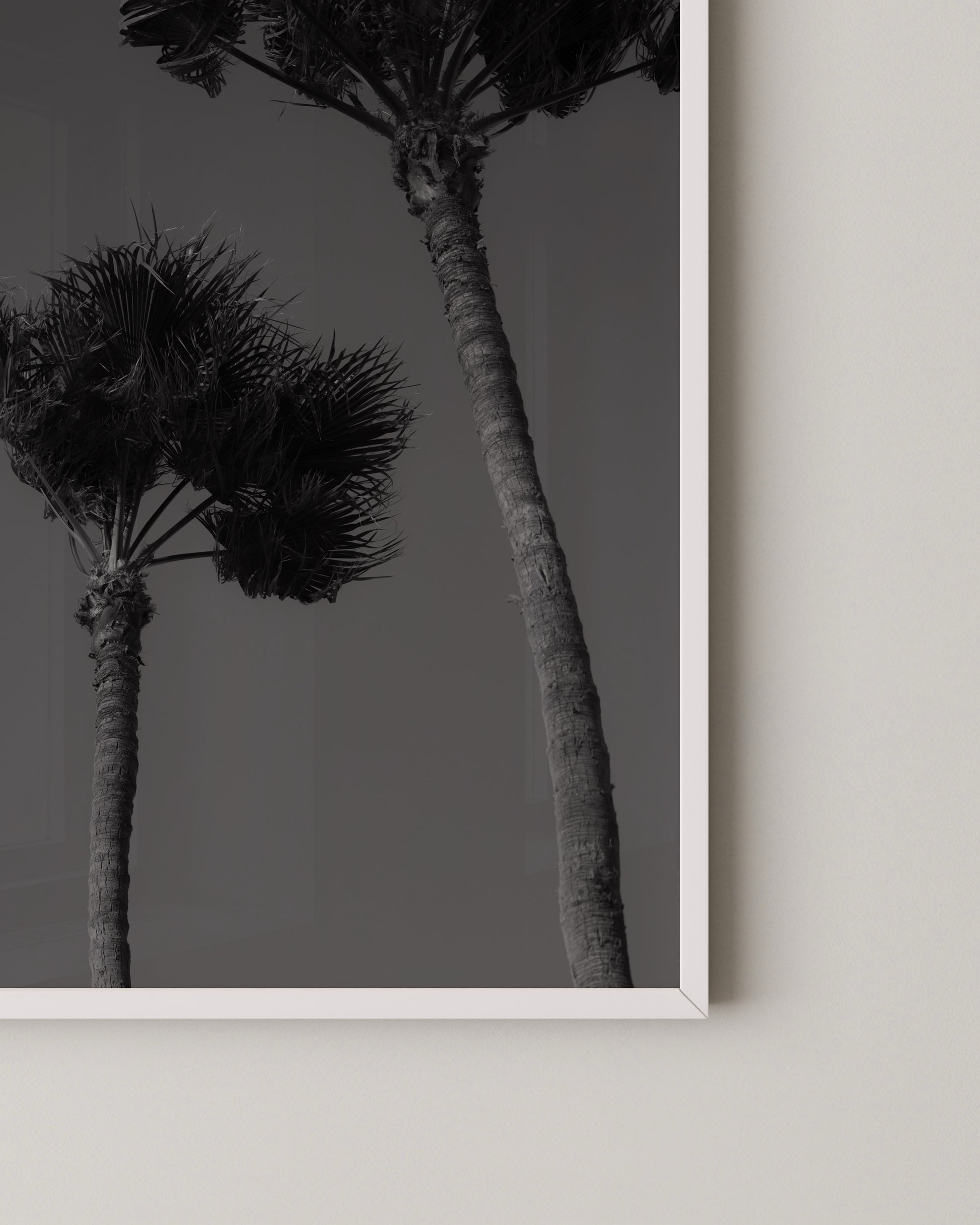 Palm Silhouettes Print- Wall Art -Paperhus- Printable wall art - Instant downloads - DIY home decor -Paperhus