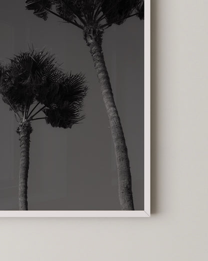 Palm Silhouettes Print- Wall Art -Paperhus- Printable wall art - Instant downloads - DIY home decor -Paperhus