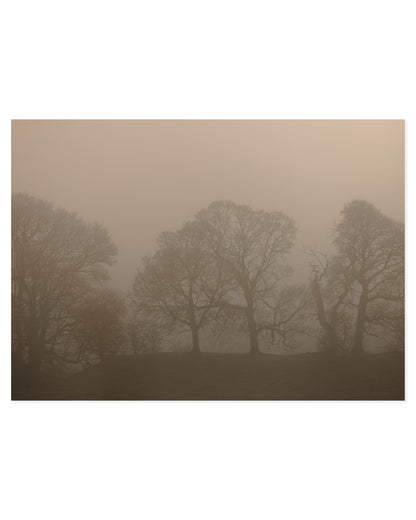 Moody Tones. Woodland II printable wall art by Paperhus
