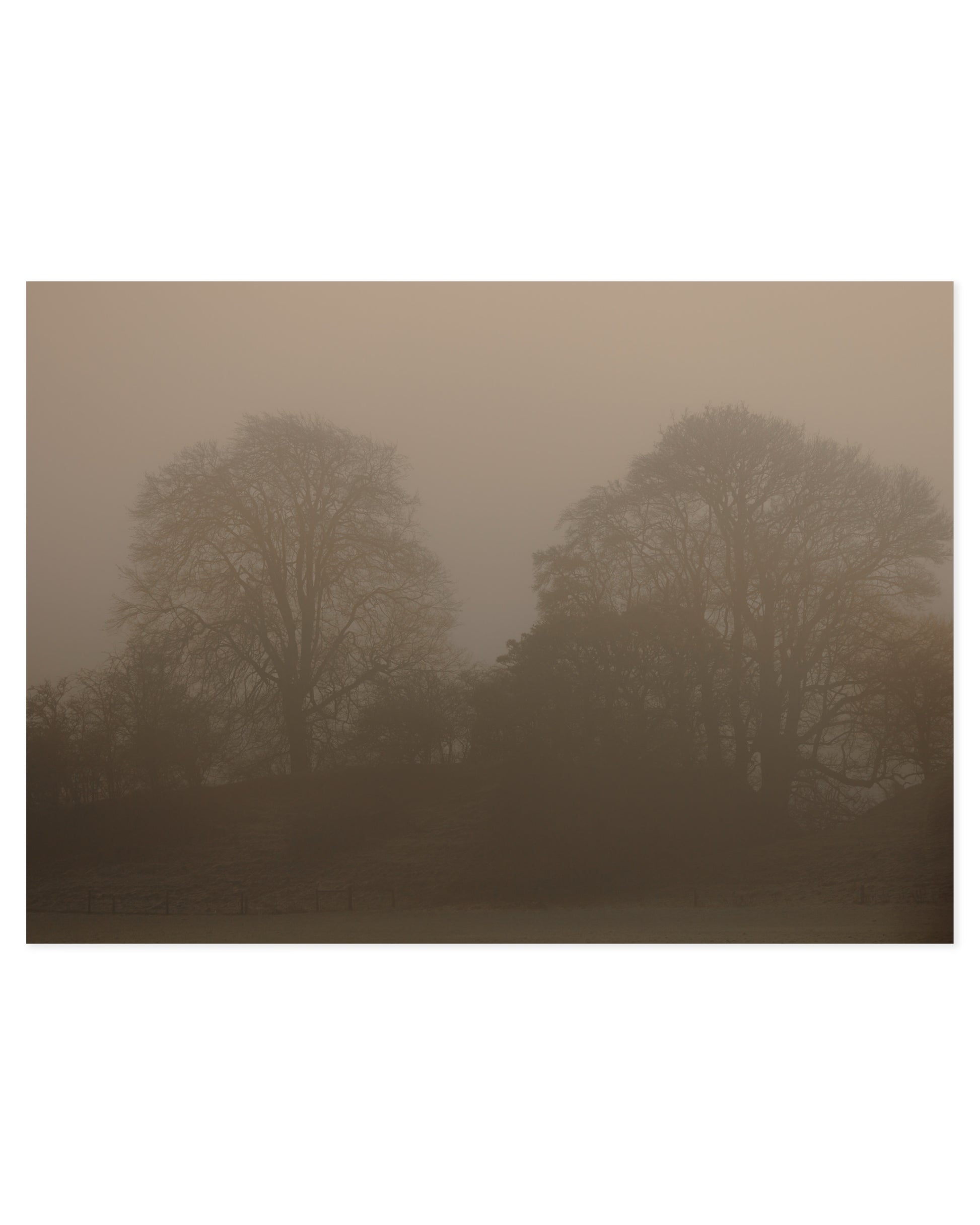 Moody Tones. Woodland I printable wall art by Paperhus