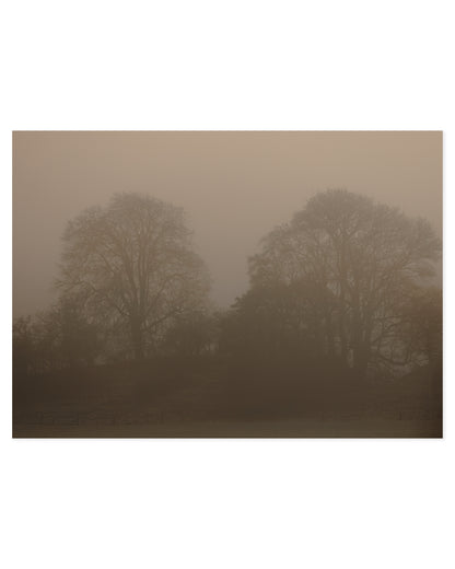 Moody Tones. Woodland I printable wall art by Paperhus
