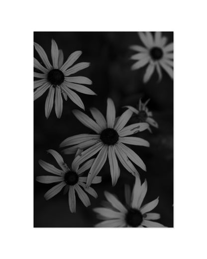 Moody Tones. Florals printable wall art by Paperhus