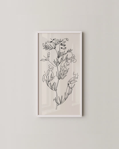 Sweet Pea Print- Wall Art -Paperhus- Printable wall art - Instant downloads - DIY home decor -Paperhus