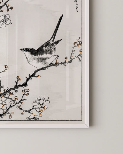 Bush Warbler Print- Wall Art -Paperhus- Printable wall art - Instant downloads - DIY home decor -Paperhus
