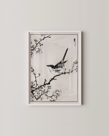 Japanese Bird Set- Wall Art -Paperhus- Printable wall art - Instant downloads - DIY home decor -Paperhus