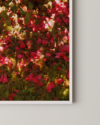 Fallen Petals Print- Wall Art -Paperhus- Printable wall art - Instant downloads - DIY home decor -Paperhus