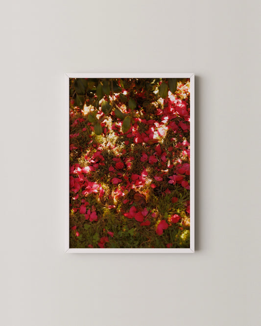Fallen Petals Print- Wall Art -Paperhus- Printable wall art - Instant downloads - DIY home decor -Paperhus