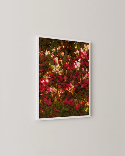 Fallen Petals Print- Wall Art -Paperhus- Printable wall art - Instant downloads - DIY home decor -Paperhus