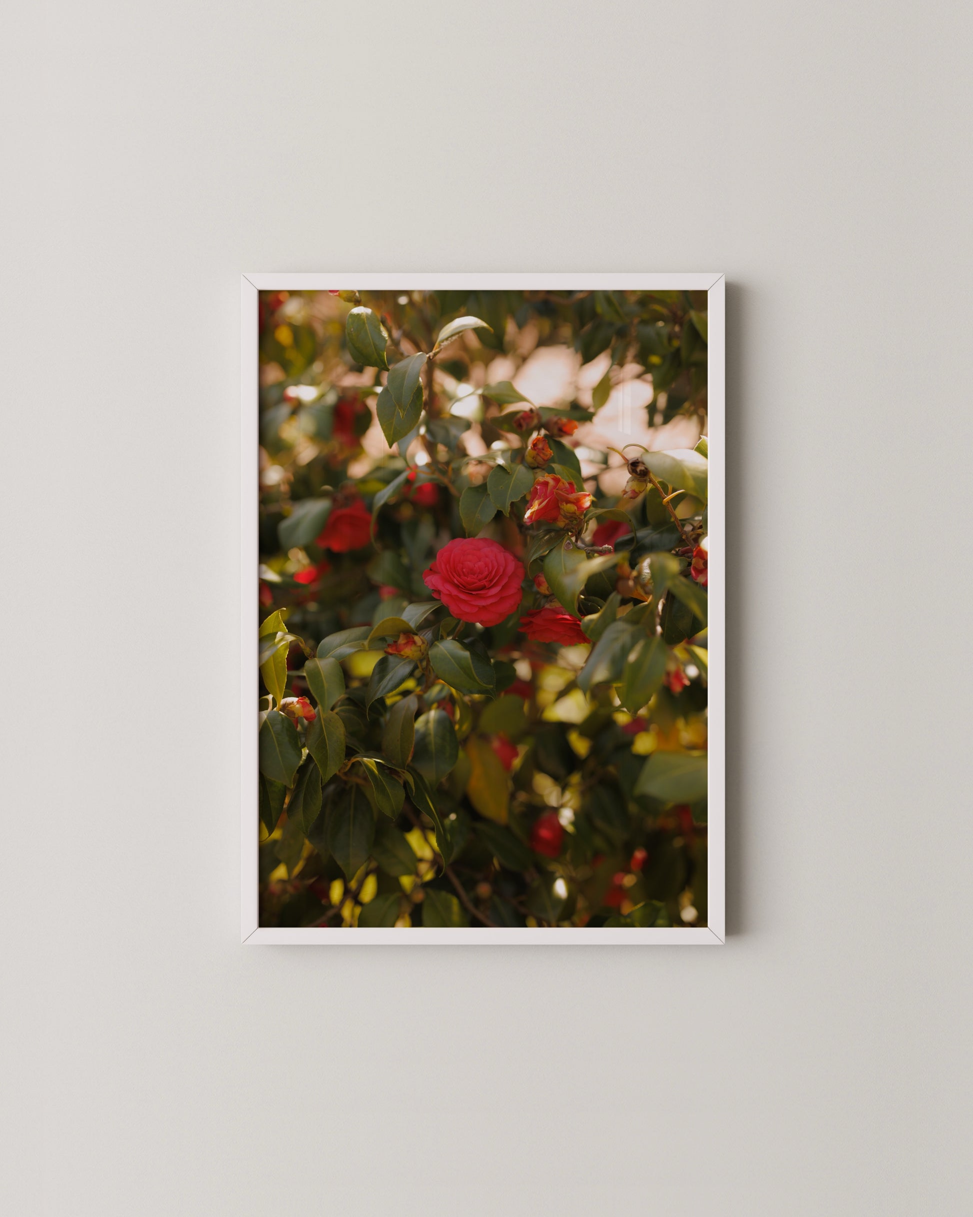 Bloom Print- Wall Art -Paperhus- Printable wall art - Instant downloads - DIY home decor -Paperhus