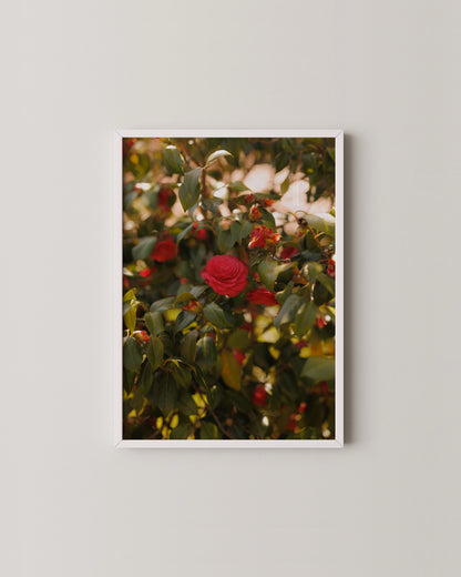 Bloom Print- Wall Art -Paperhus- Printable wall art - Instant downloads - DIY home decor -Paperhus